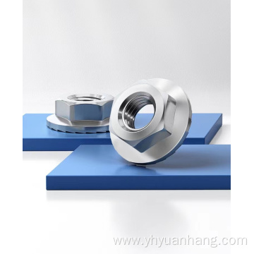 304 Stainless Steel Hex Flange Nut
